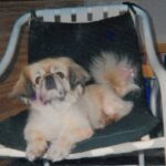 marion stone Gallery