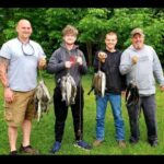 andy nesbitt Gallery