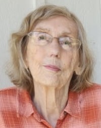 donna jarvis